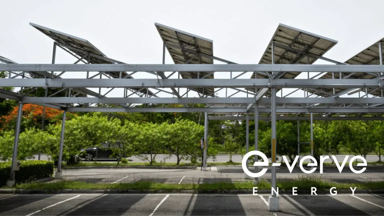 Bifacial Solar Panels: A Comprehensive Guide