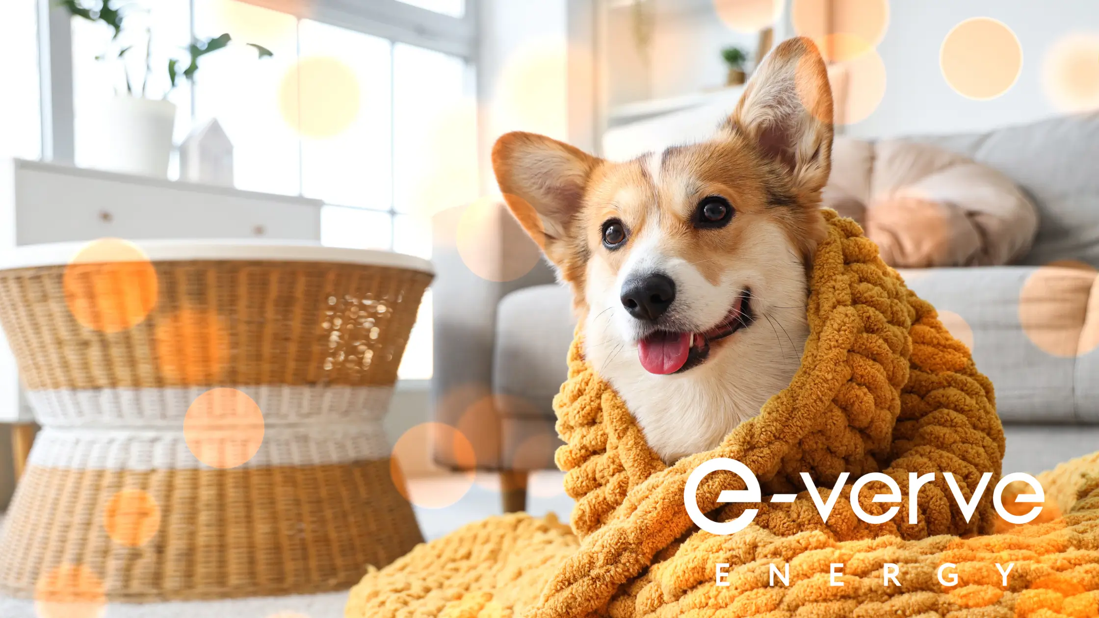 warm homes plan 2026- what does it mean and will it be worth it for me